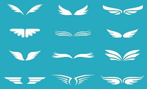 12 white wings design vector